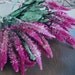 DRIED FLOWERS All Natural Dried Flowers Celosia Pink rose Craft Decor Prim Floral Wedding Shabby Country
