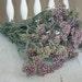 Natural Dried Pastel Yarrow Flowers for Wedding Country Prim Shabby Craft Decor,...