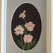 Pressed Flower Picture (Pink Larkspur) No. 160