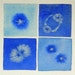 Mini Blue Mitosis 2 - Original Watercolor