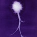 Deep Purple Neuron - original watercolor of brain cell