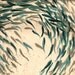 Shimmering Shoal Original Glass Window Painting