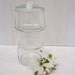 Set of Three Stackable Clear Glass Apothecary Jars Terrariums