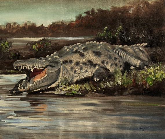 Crocodile wildlife reptile 20x24 oils on canvas by by rustyart