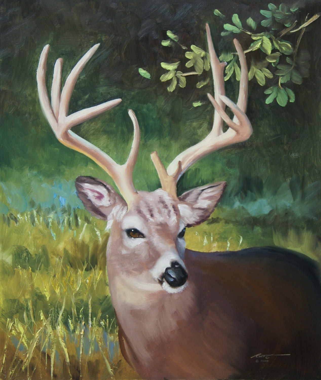 Whitetail Deer oil on canvas wildlife painting 24x20 by RUSTY