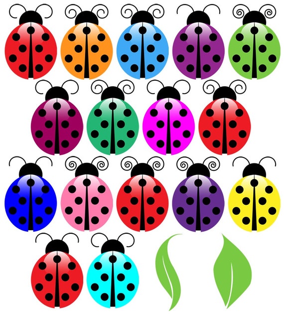 clipart pictures of ladybug - photo #34