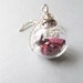 Real Flower Botanical Necklace Hand Blown Glass Globe - ROSE - Bridal Jewelry