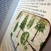 READY TO SHIP Magnetic Bookmark (Save the Trees)