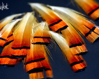 Short Orange Pheasant Feather Golden Cheap Craft Feather Craft Supplies Commercial Supply, Natural Orange Feather Supplies 12
