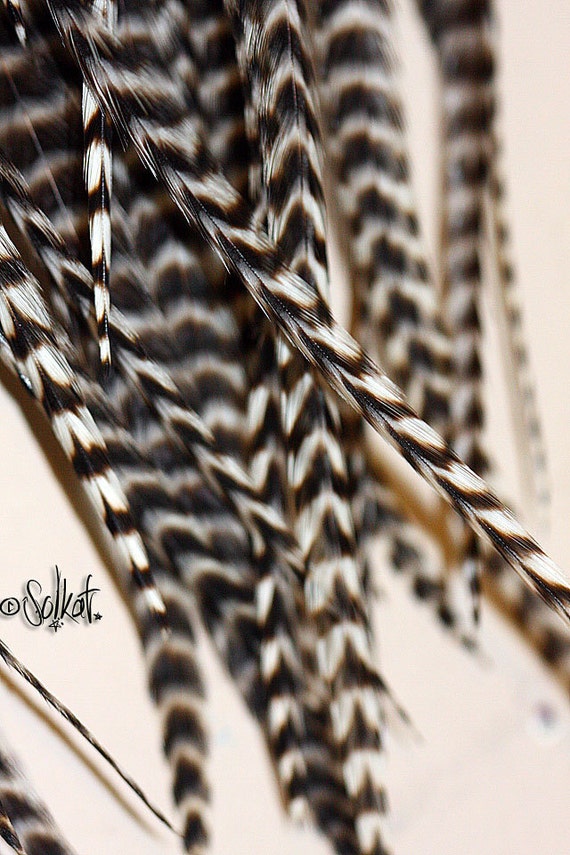 Grizzly Feathers Black and White Striped Thicker Saddle Hair