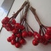 Decorative Berries Red Holly Berry Wired Floral Picks Destash