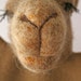 Needle Felted Camel Puppet