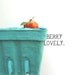 Berry Baskets - Pint Sized - One Dozen - Party Favor Baskets
