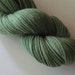 STELLAR Superwash Bluefaced Leicester nylon fingering sock yarn, Celadon