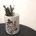 Small Portmeirion Botanic Canister / Moths and Irises