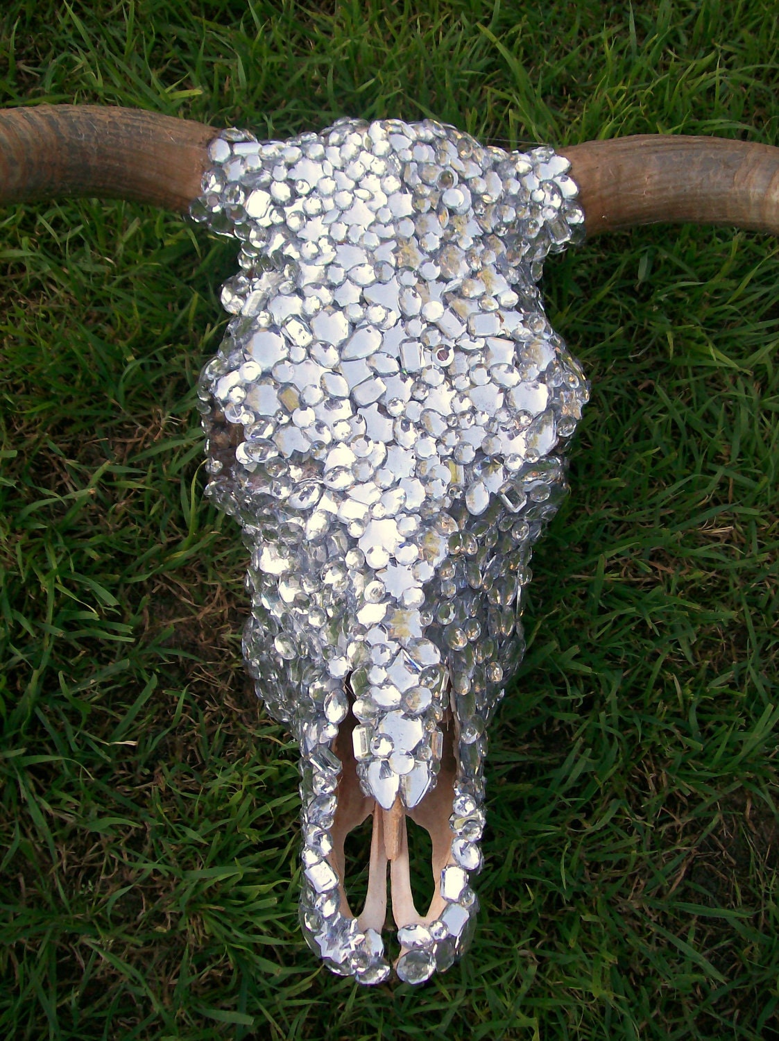 Rhinestone Cow Skull