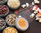 Popcorn gift set - deluxe popcorn and popcorn seasonings gift assortment - set of 16