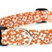 Dog Collar - Fresh Marigold - Orange and Cream Dog Collar