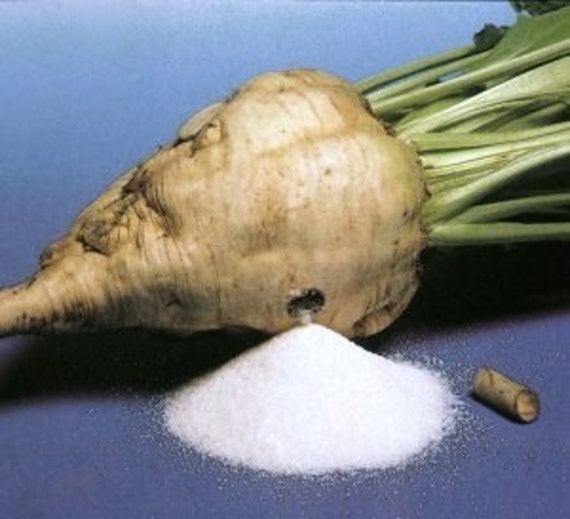 bulk-1000-organic-non-gmo-sugar-beet-seeds-make-homemade-sugar