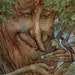 The Lost Linden Tree Bird Greeting Card