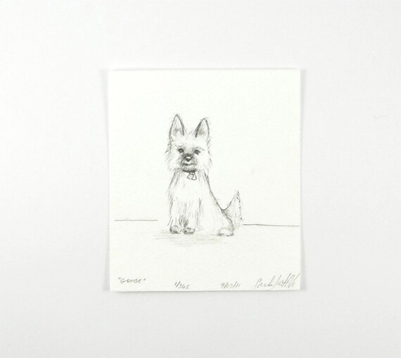 George Original Pencil Sketch Cairn Terrier Drawing