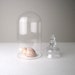 v i n t a g e Large Glass Dome Cloche Terrarium