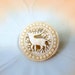 Vintage Carved Bone Brooch of a Elk or Wapiti or Deer Stag