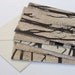 flooded forest card set