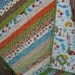 Fox Trails Boy Quilt Handmade