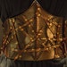 Steampunk leather corset - Wild -