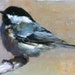 Black-capped Chickadee - Original oil painting