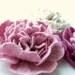 felted flower brooch PINK PEONY / ready to ship