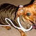 Custom Made Dachshund Dog Coat in Brown and Pink - Reserved for Sookie