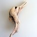 Natural Driftwood Seahorse