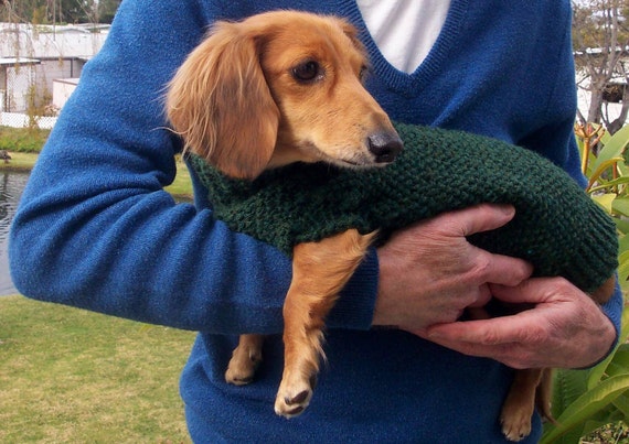 PDF Download Knit Pattern for Miniature Dachshund Dog Sweater