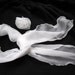 Chiffon Scarf with Rose Brooch in White
