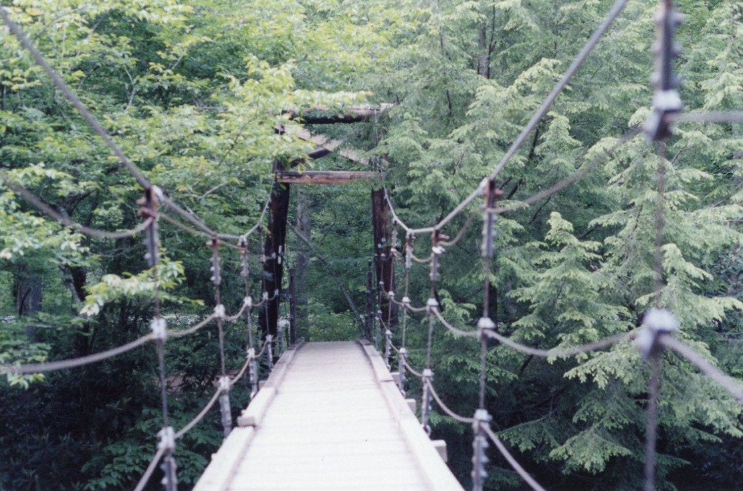 Suspension Bridge North Carolina 5 x 7 by StephanieLagravinese