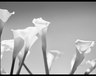 Popular items for botanical collection on Etsy