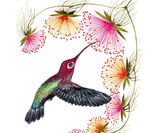 Blooming hummingbird print bird watercolor painting print