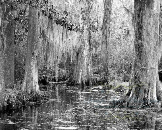 black and white landscape photography grey by JenniferLynnPhotos