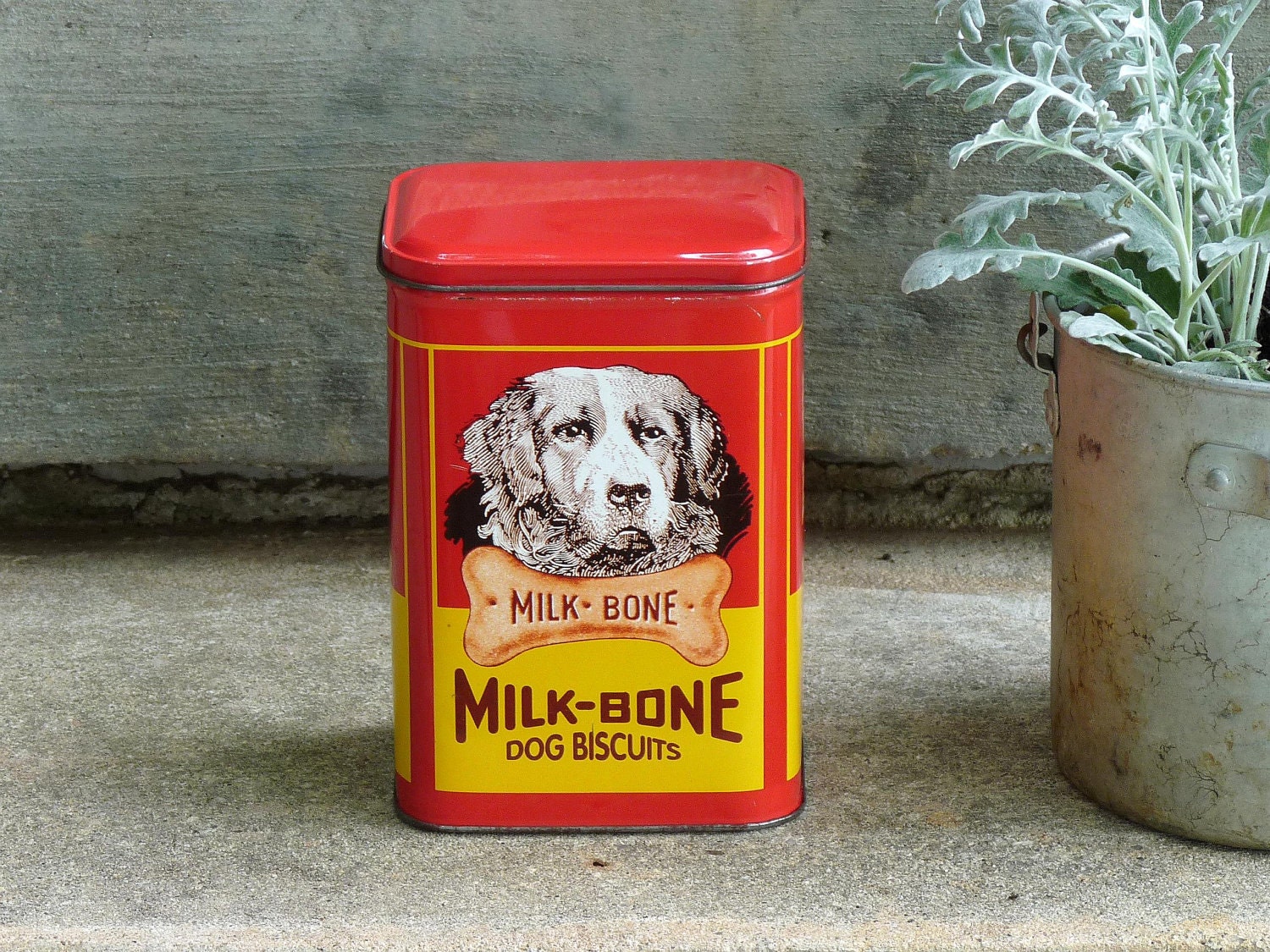 Milk Bone Dog Biscuit Tin Vintage Advertising Nice Bold