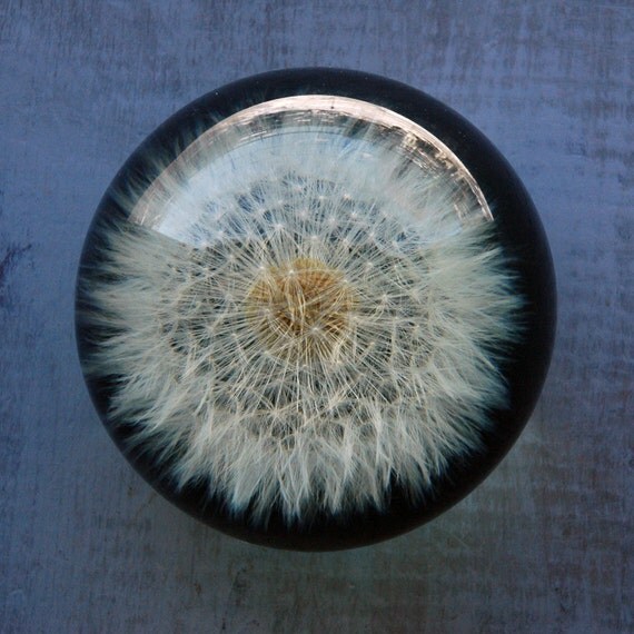 Image: https://img0.etsystatic.com/000/0/6052502/il_570xN.215883920.jpg