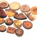 meet the woods - 15 natural wood buttons