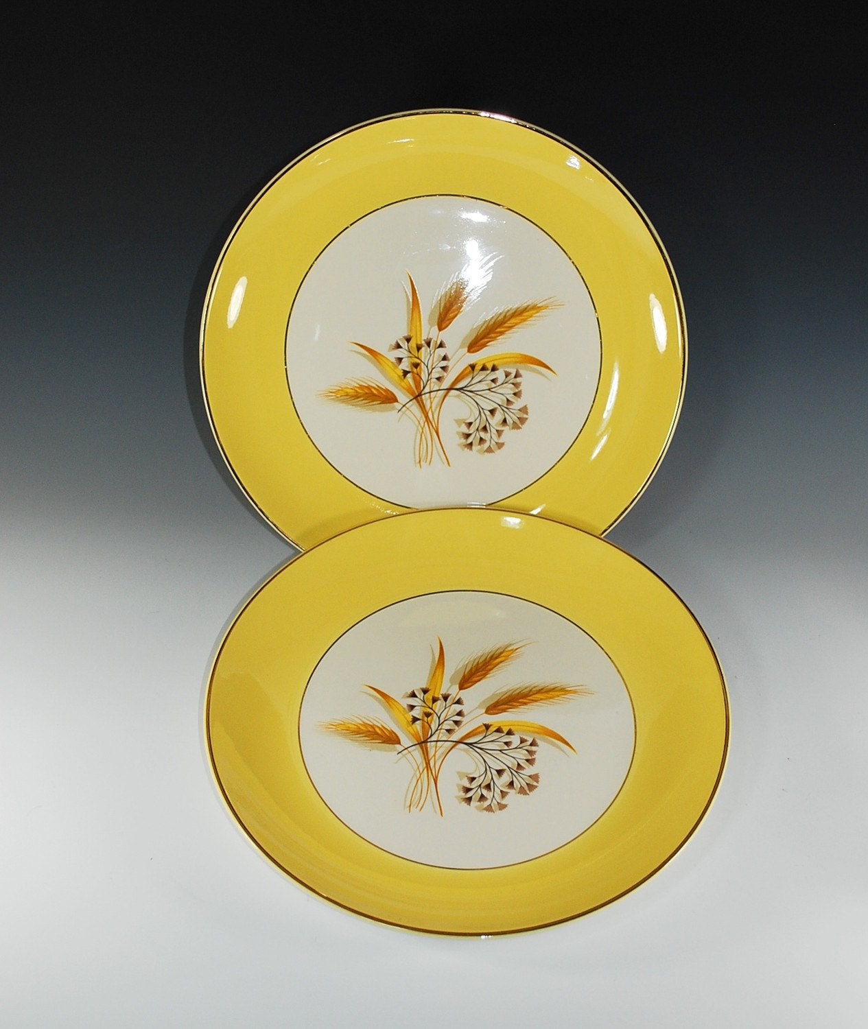 Autumn Gold Dinner Plates by Century Service/Alliance