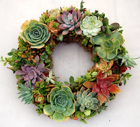 succulent wreath large colorful succulents14 succulent wreath large colorful succulents14