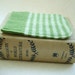 Nook Simple Touch Cover Kindle 4 Kobo Case APPLE GREEN by WormeWoole