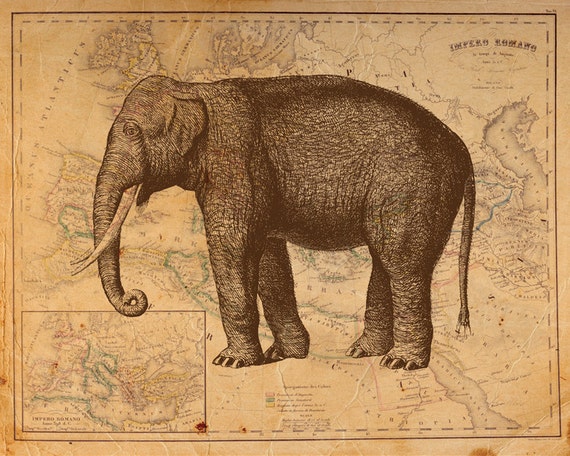 Vintage Elephant on Antique Roman Empire Map Print 8x10 P71