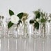 Reserved listing for stoonce.SPRING WEDDING DECOR.Eleven upcycled flower vases bottles.Great for weddings.
