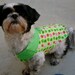 Medium Apple Of My Eye Harness