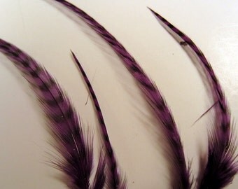 24 thin purple grizzly feathers thin 2 to 5 inches craft feathers